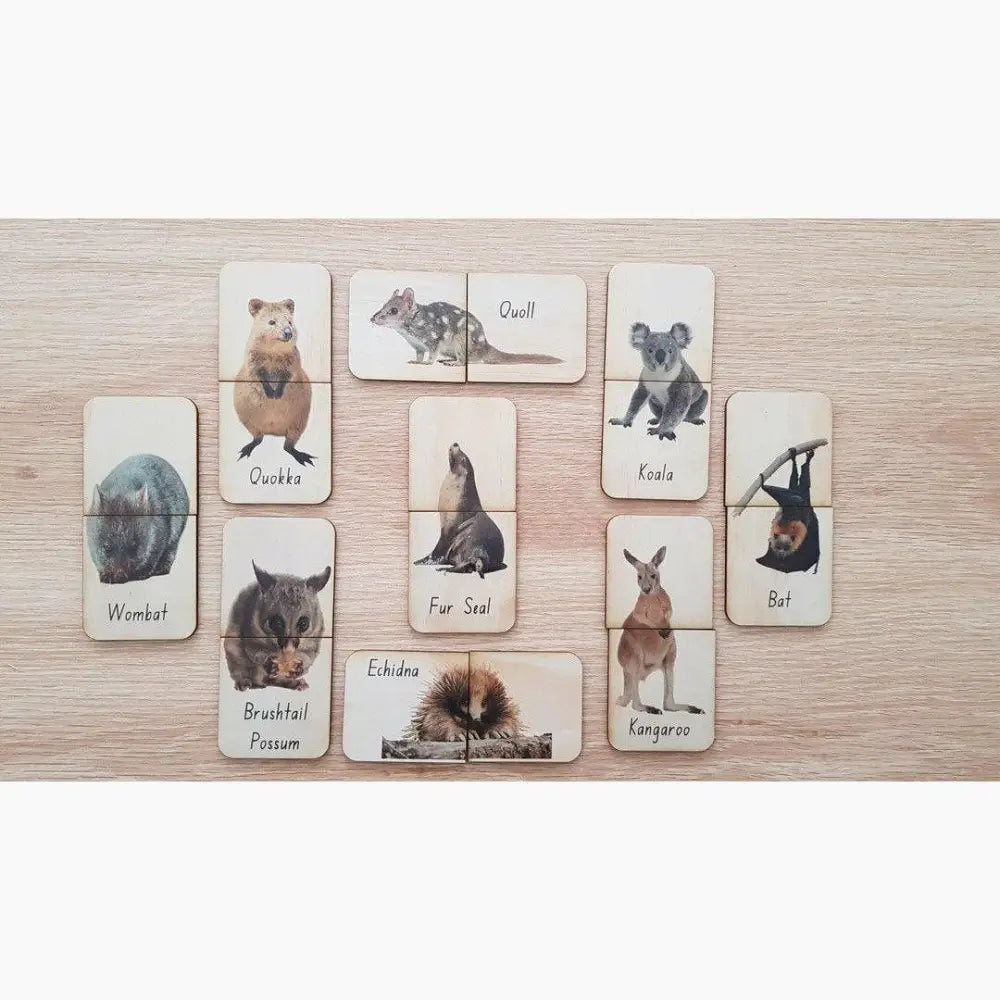 Collection of animal-themed cards or tiles featuring various Australian wildlife portraits and names.