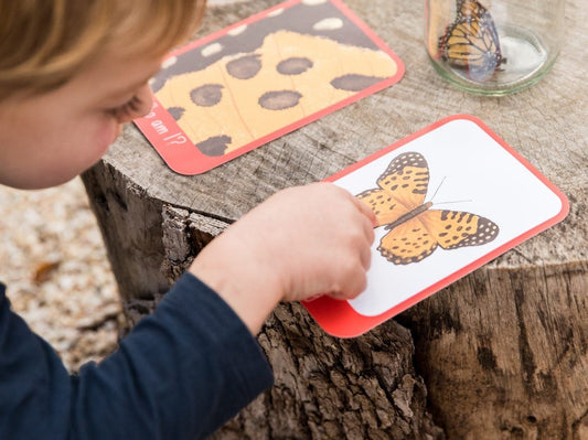 Who Am I? Flashcards