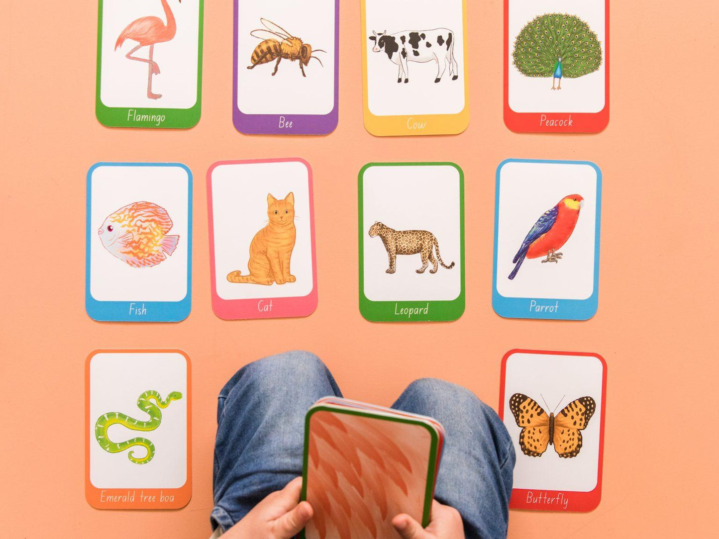 Who Am I? Flashcards