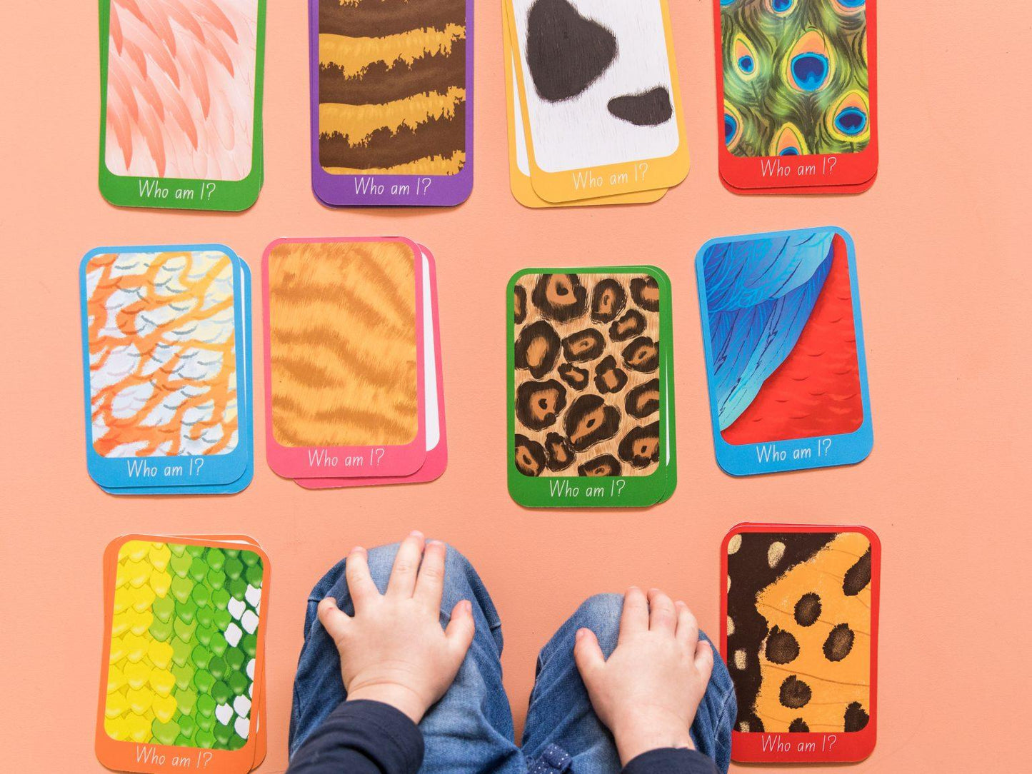 Who Am I? Flashcards