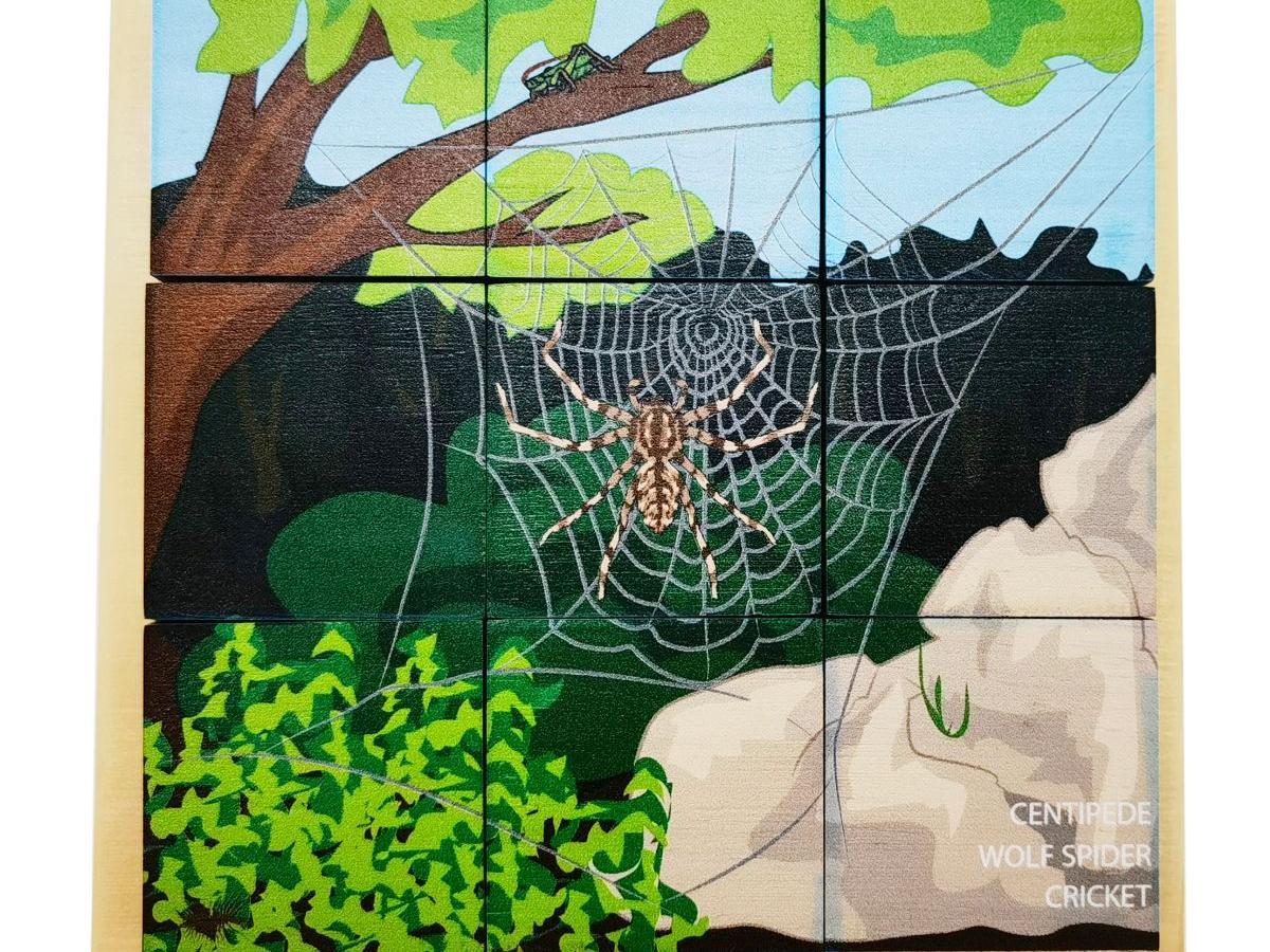 Minibeasts – 6 in 1 Puzzle