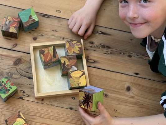 Minibeasts – 6 in 1 Puzzle