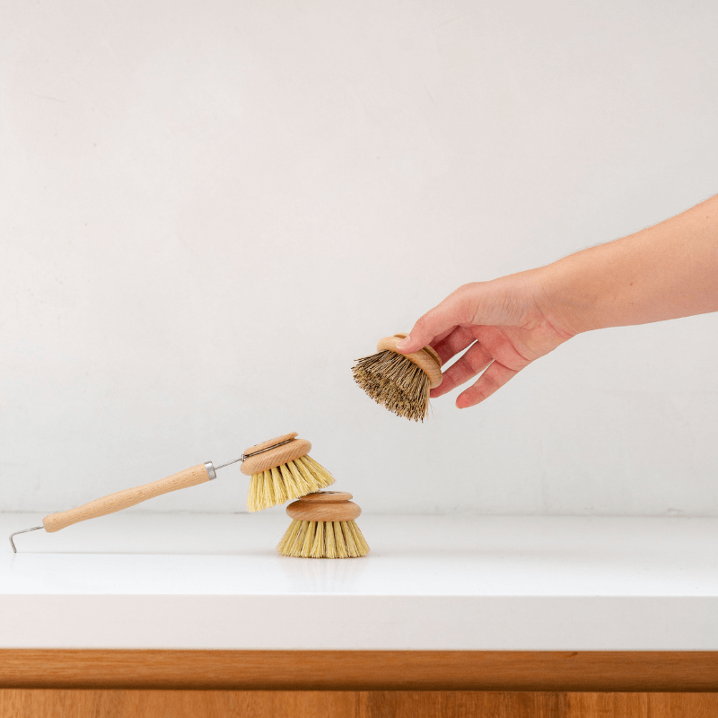Seed and Sprout Dish Brush Beechwood