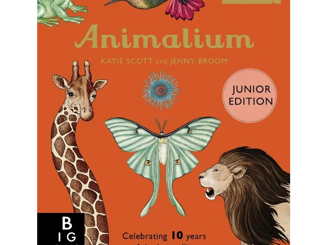 Book cover for ’Animalium Junior Edition’ featuring illustrations of various animals.