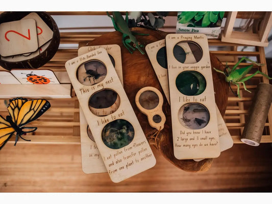 Wooden door hangers with circular cutouts displaying various natural objects and handwritten labels.