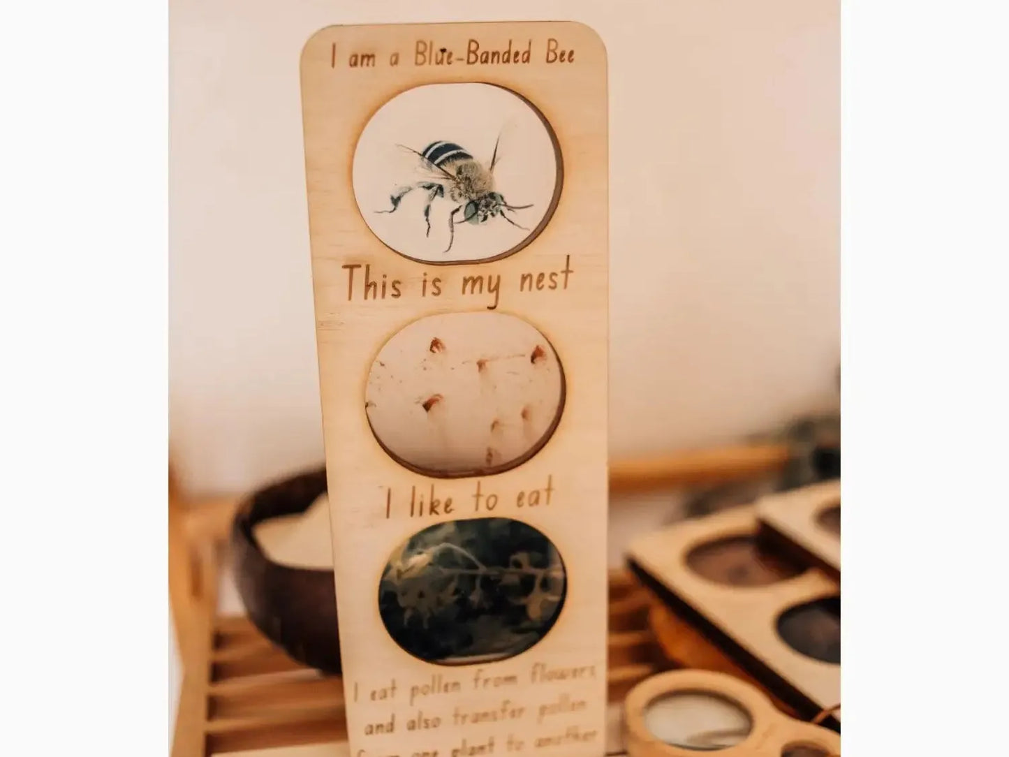Wooden door hanger with three circular cutouts containing nature-themed illustrations and text.