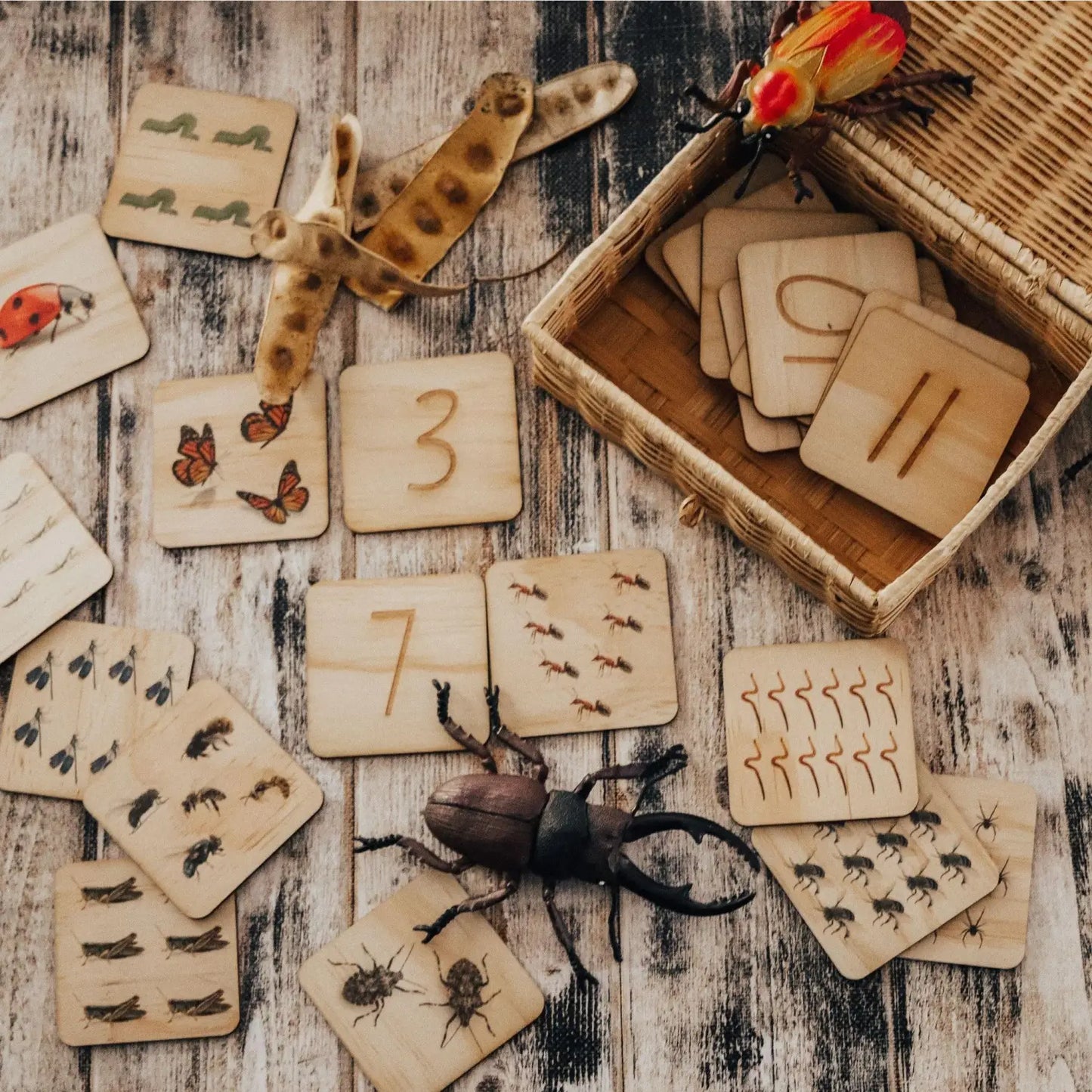 Collection of wooden educational cards and nature-themed objects for learning.