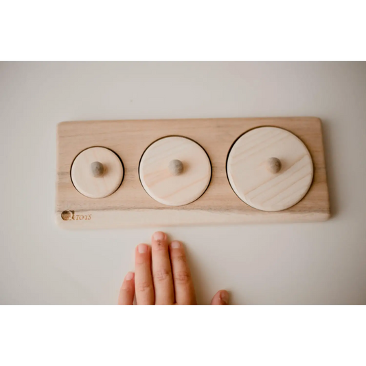 Wooden puzzle board with three circular pieces of increasing size.