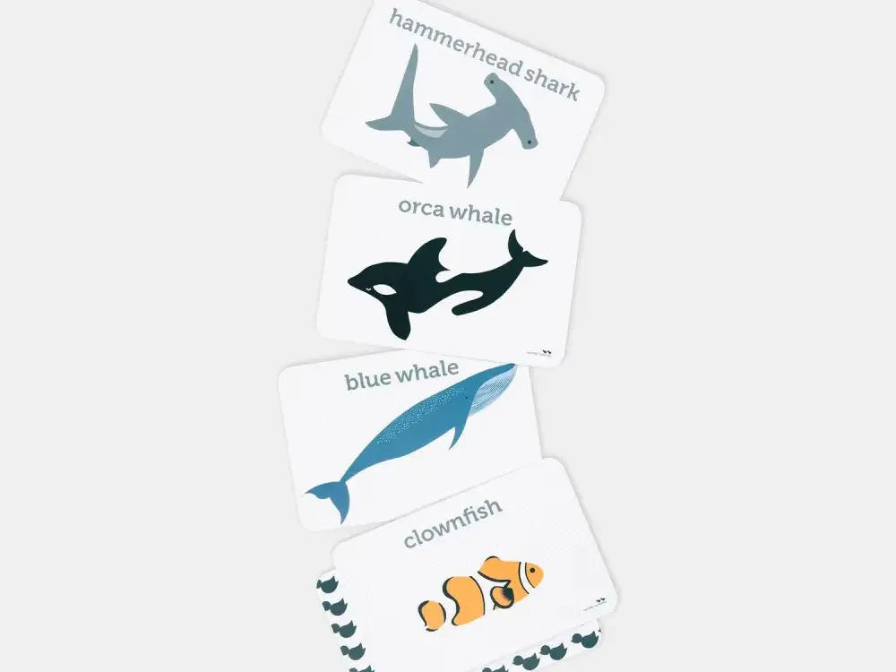 Set of four illustrated cards depicting different marine animals: hammerhead shark, orca whale, blue whale, and clownfish.