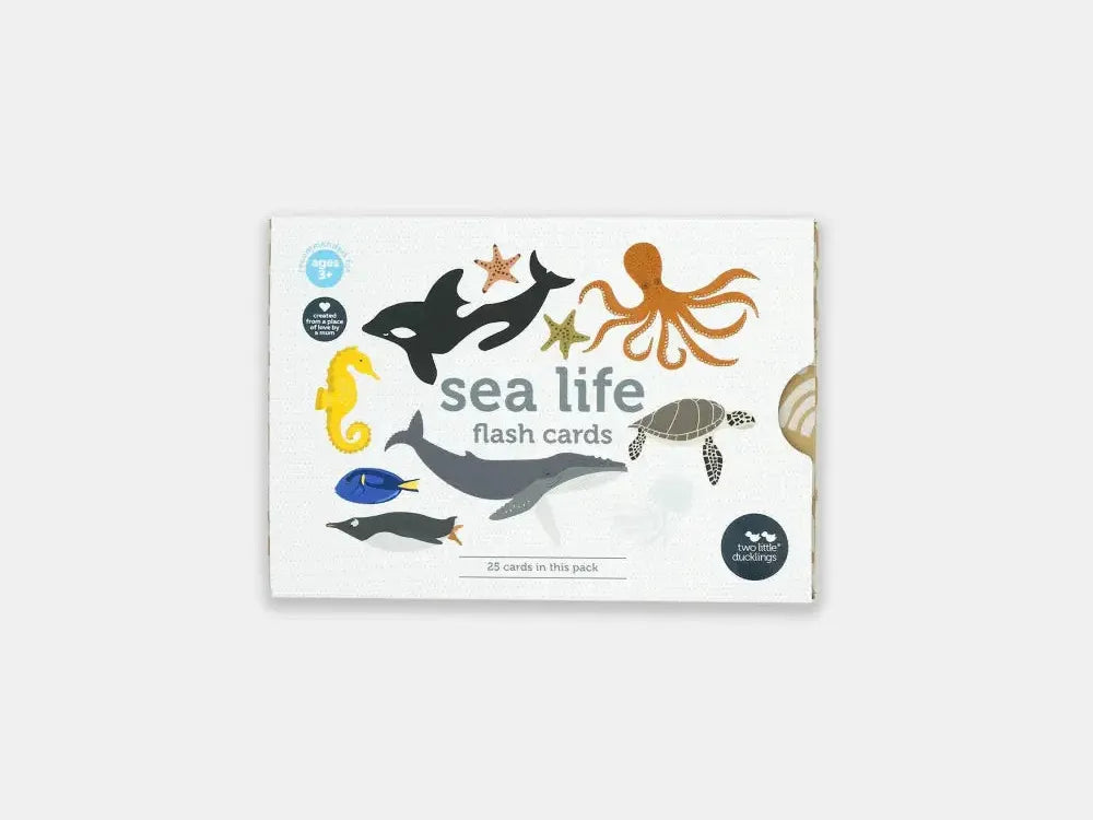 Set of sea life flash cards featuring various marine animals.