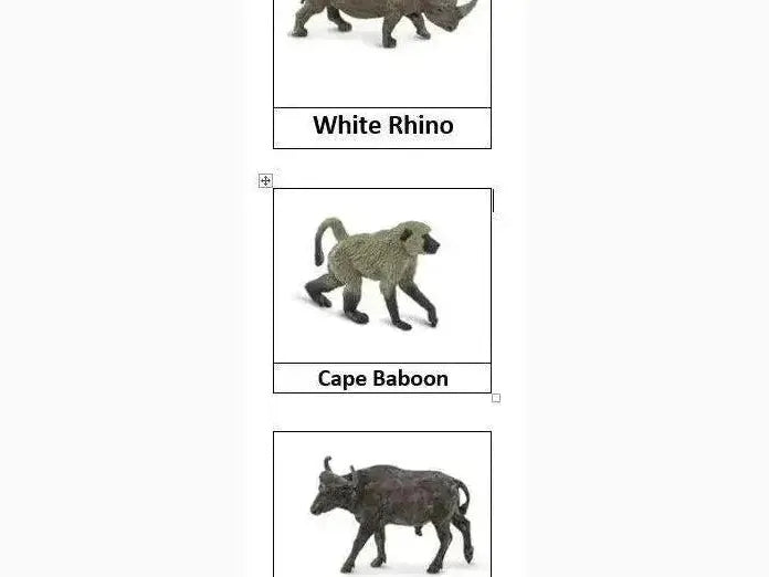 Three labeled illustrations of African animals: a white rhino, a Cape baboon, and a Cape buffalo.