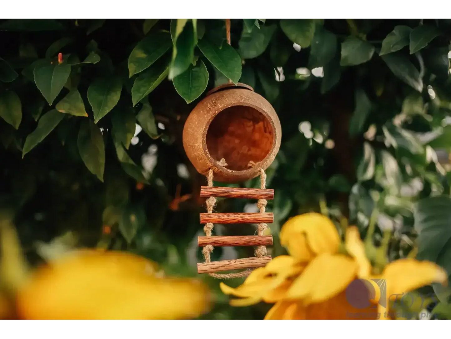 Wooden birdhouse with a circular entrance and ladder-like perch.