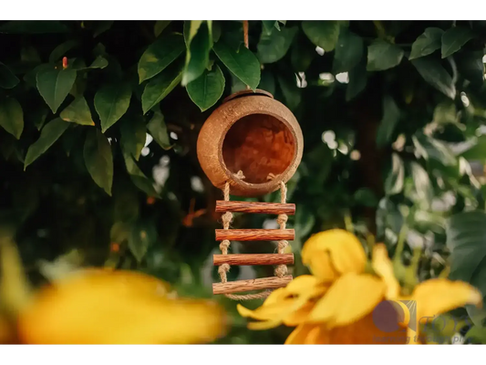 Wooden birdhouse with a circular entrance and ladder-like perch.