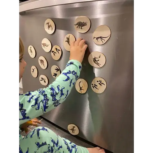 Circular magnets or buttons featuring dinosaur silhouettes on a metallic surface.