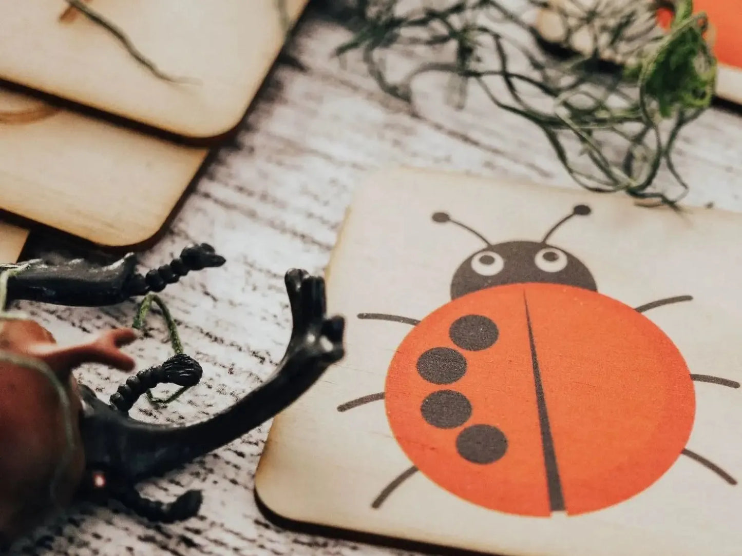 Wooden coaster with a cartoon ladybug design.