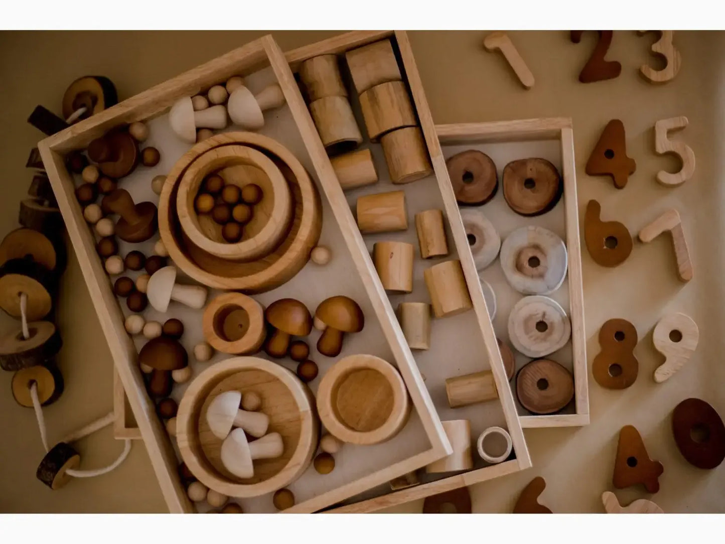 Wooden Montessori toy set.