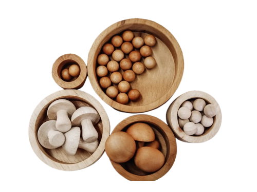 Wooden bowls containing various natural objects like eggs, mushrooms, and round items.