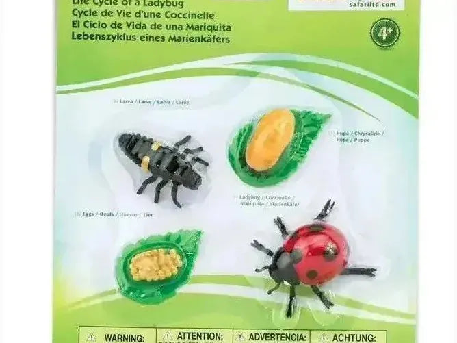 Educational toy set showing the life cycle stages of a ladybug.