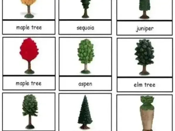 Grid of nine illustrated tree types with labels, showing different species and styles of trees.
