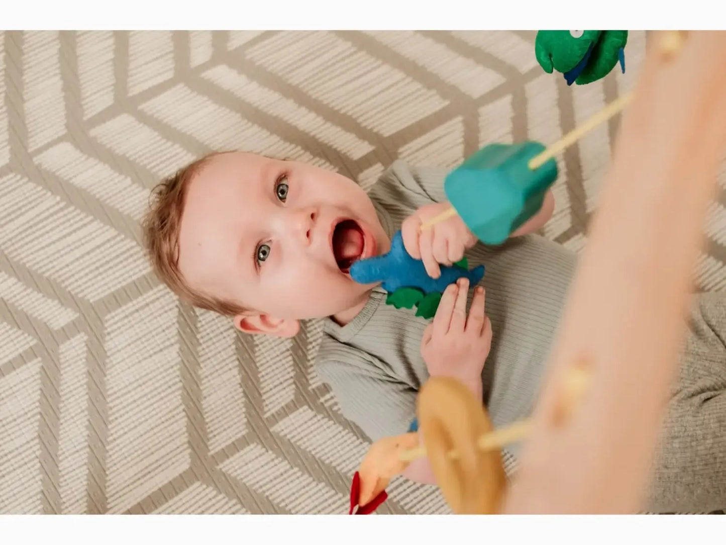 Baby chewing on a colorful toy.