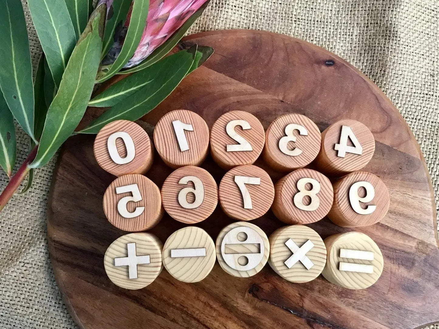 Wooden circular discs with numbers and mathematical symbols engraved on them, arranged on a wooden board next to a pink protea flower.