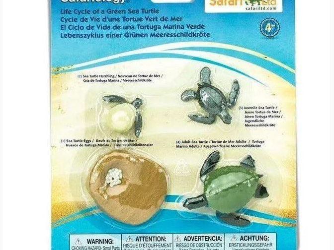 SAFARI LTD LIFE CYCLE OF A GREEN SEA TURTLE SAFARI - Learn Grow Play