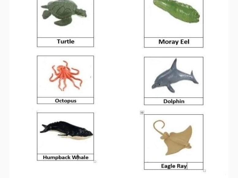 Safari Ltd Ocean Toob