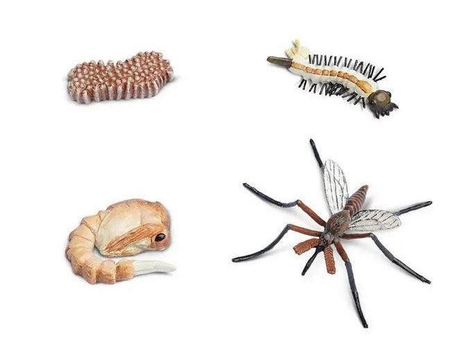 SAFARI LTD LIFE CYCLE OF A MOSQUITO SAFARIOLOGY - Learn Grow Play