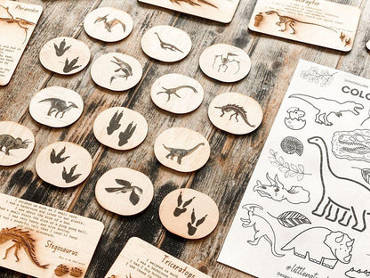 Prehistoric Dinosaur Illustrated Magnet Set - Educational and Playful
