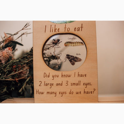 Australian Backyard Explorer: 3D Insect and Reptile Ecosystem Boards for Kids