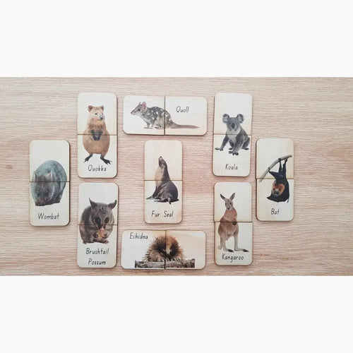 Collection of animal-themed cards or tiles featuring various Australian wildlife portraits and names.
