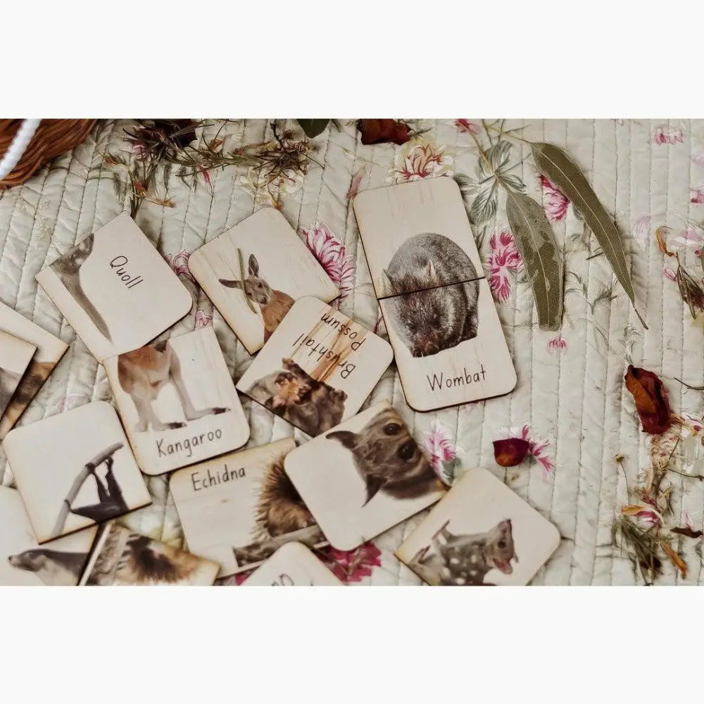 Collection of animal-themed cards or photographs scattered on a floral fabric surface.