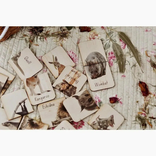 Collection of animal-themed cards or photographs scattered on a floral fabric surface.