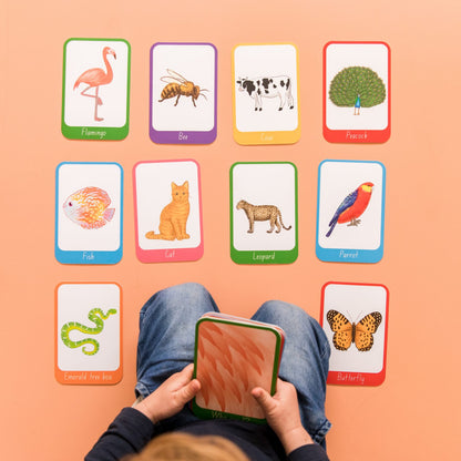 Who Am I? Flashcards