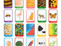 Who Am I? Flashcards