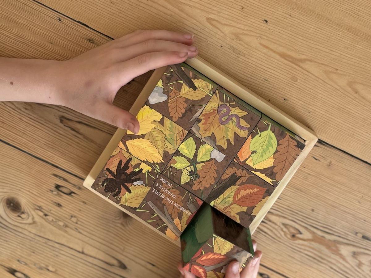 Minibeasts – 6 in 1 Puzzle