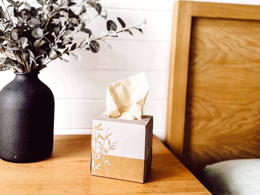Eco Cheeks Bamboo Tissues - Unbleached & Hypoallergenic - 9 Boxes