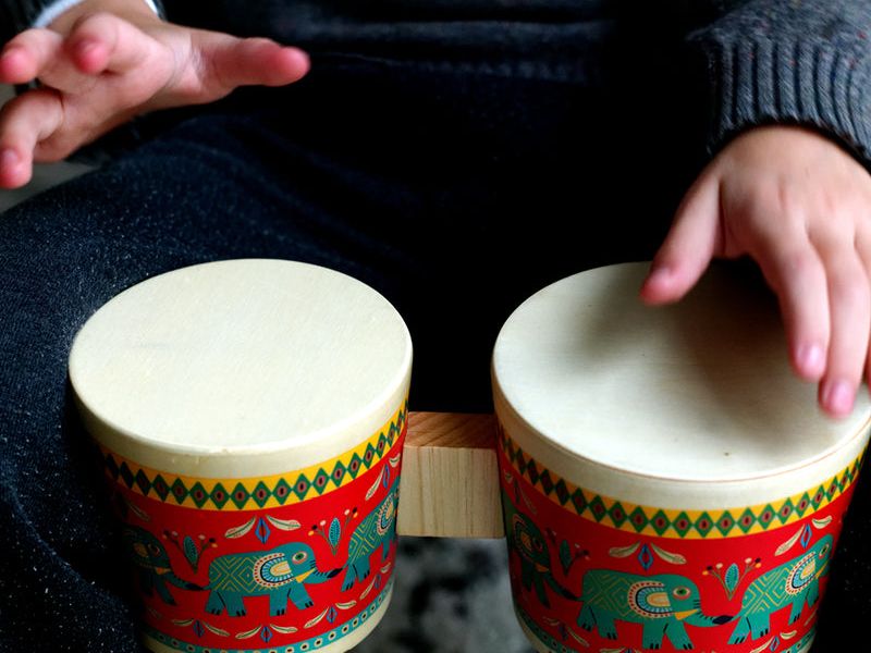 Djeco DJ6022 - Animambo Bongo Drums