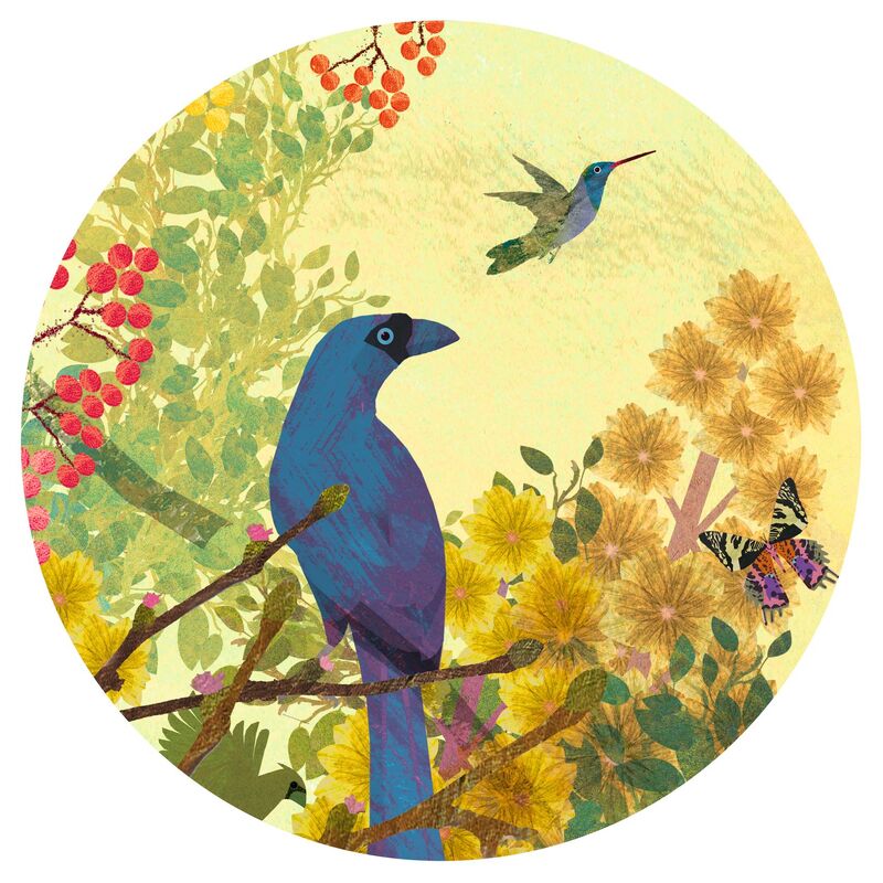 Peaceful Birds 1000 Piece Gallery Jigsaw Puzzle by Djeco