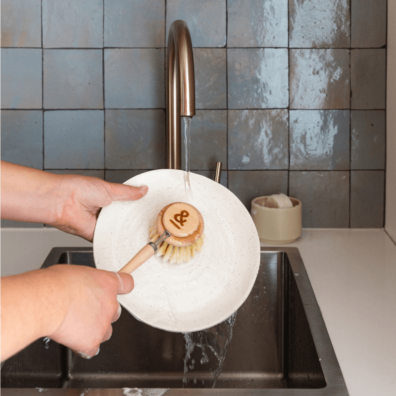 Seed and Sprout Dish Brush Beechwood