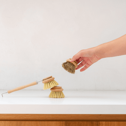 Seed and Sprout Dish Brush Beechwood