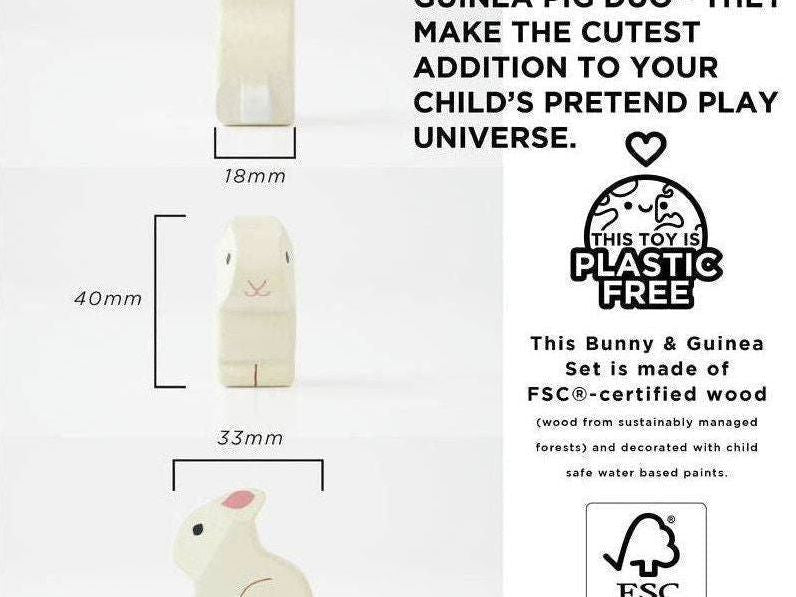 Bunny & Guinea Pet Animal Set - 5 piece