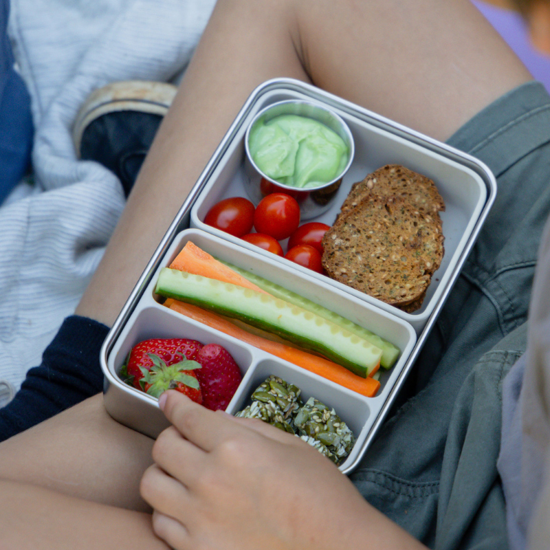 Seed and Sprout Large CrunchPot 800ml