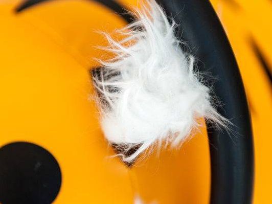 Large Tiger Wheely Bug WBA10LT