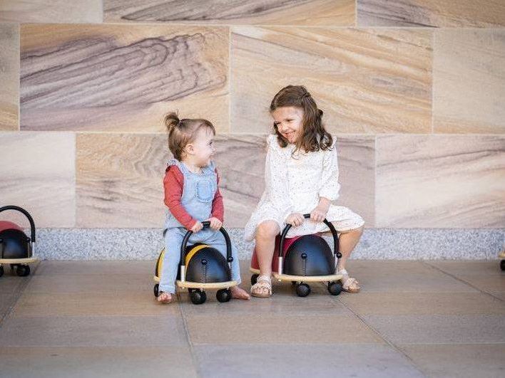 Large Ladybug Wheely Bug WBA2LL