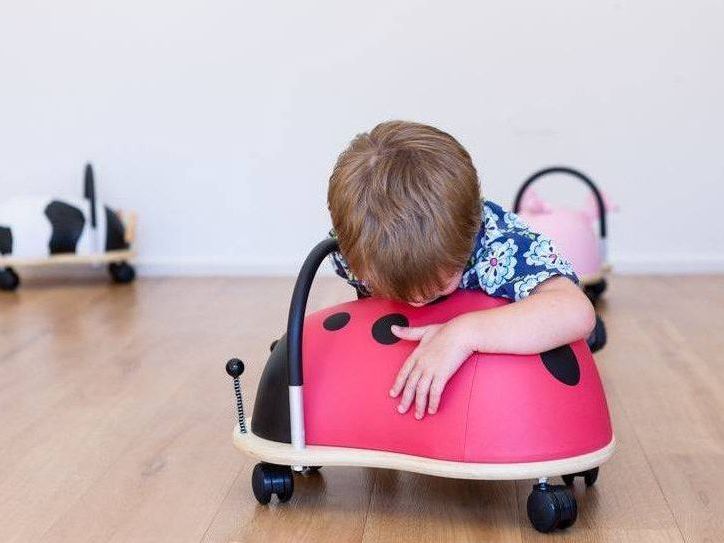 Large Ladybug Wheely Bug WBA2LL