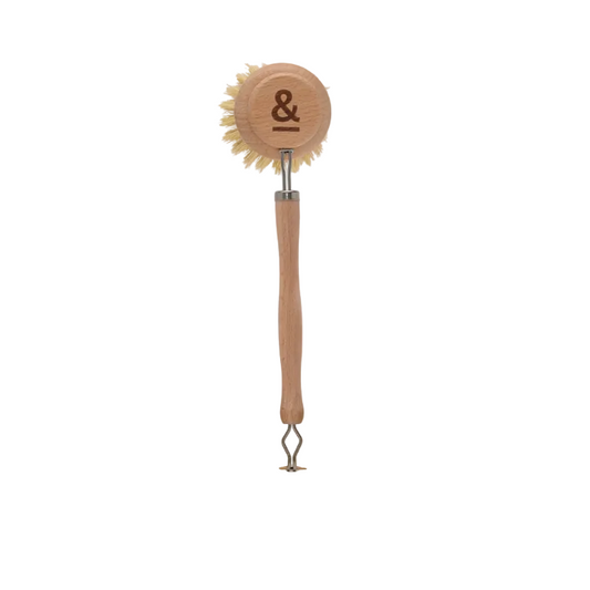 Seed and Sprout Dish Brush Beechwood