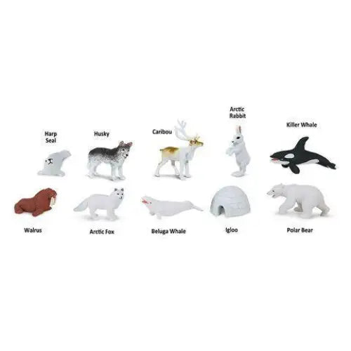 Collection of Arctic animal figurines with labels identifying each species.