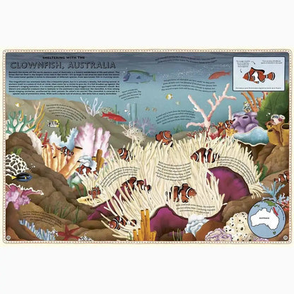 Illustrated educational poster about clownfish and coral reefs in Australia.