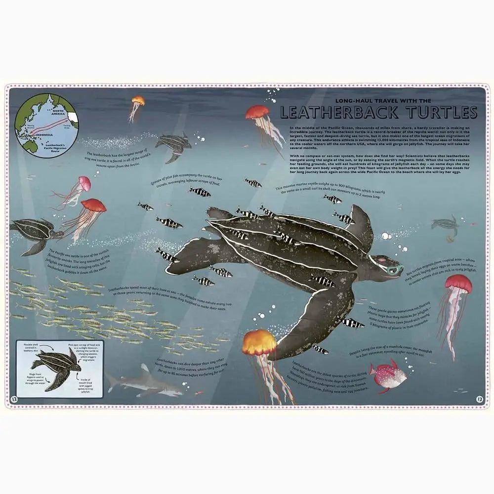 Leatherback turtle swimming among jellyfish and small fish.